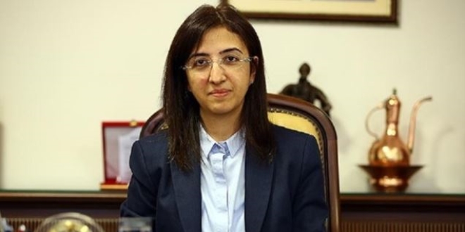 Valisi Yılmaz: Bu saldırı ülkemizin bölünmesini amaçladı