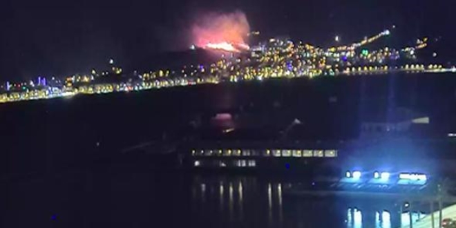 İzmir Karşıyaka'da orman yangını