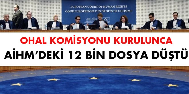 OHAL Komisyonu kurulunca AİHM'deki 12 bin dosya düştü
