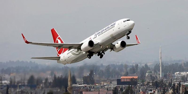 Martılar iki uçağı pas geçirdi!