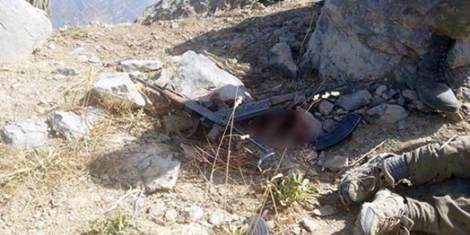 PKK'nın sözde 'Ağrı Dağı Güney Alan sorumlusu' öldürüldü