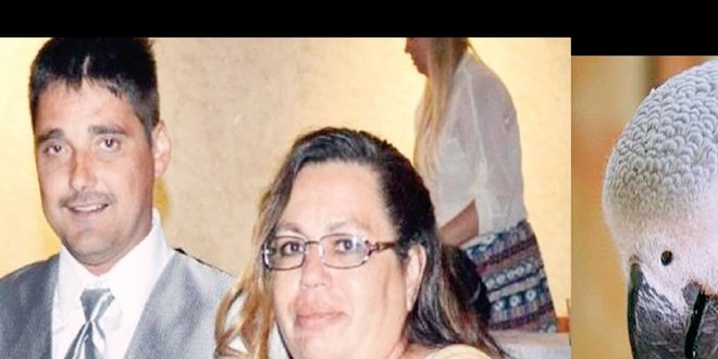 Papa�an�n tan�kl��� hapse g�t�rd�