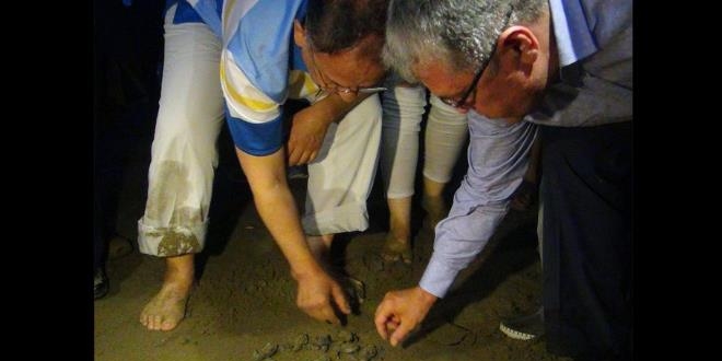 Mehmet Özhaseki, caretta carettaları denizle buluşturdu