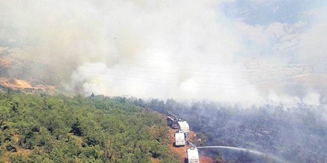 Sinop'taki orman yangınına TOMA'da müdahale ediyor