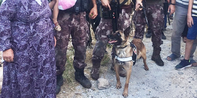 Kaybolan çocuğu iz takip köpeği buldu