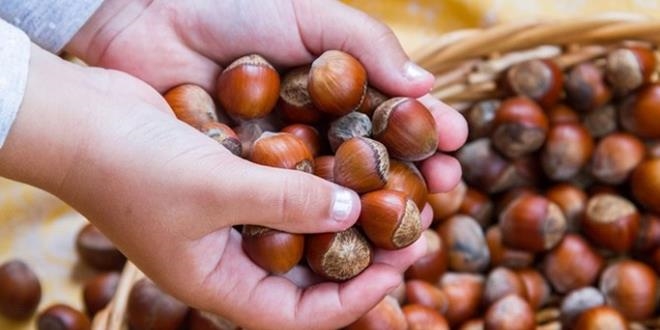 TMO �reticiden 6 bin ton f�nd�k ald�