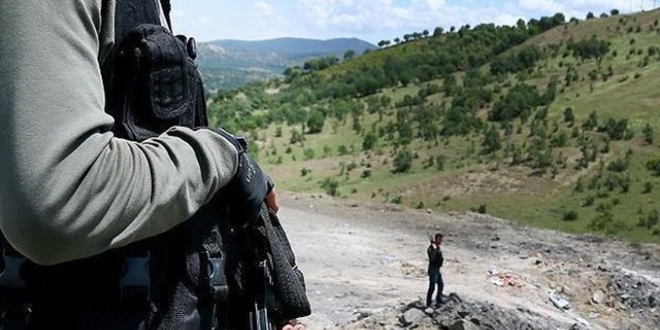 Şırnak'ta PKK'lı terörist etkisiz hale getirildi