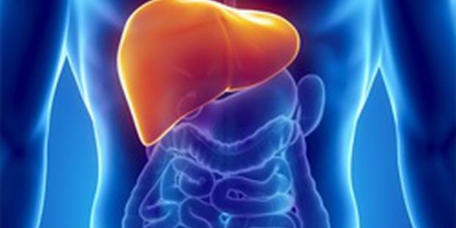 Karaciğer kanserlerinin çoğu Hepatit B kaynaklı