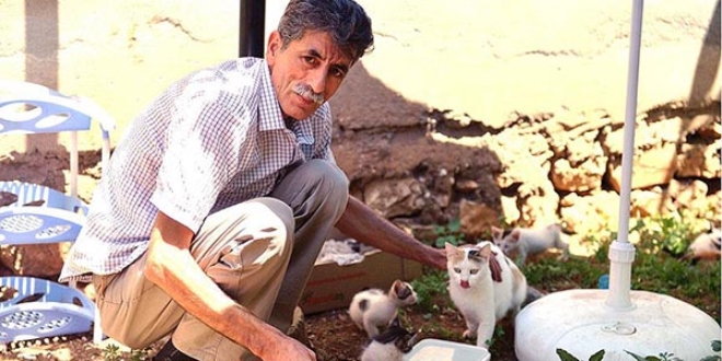 Sokak kedilerinin de 'muhtar�' oldu