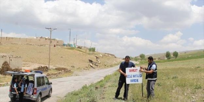 Balıkesir'de bir mahalle 'karantina' altına alındı