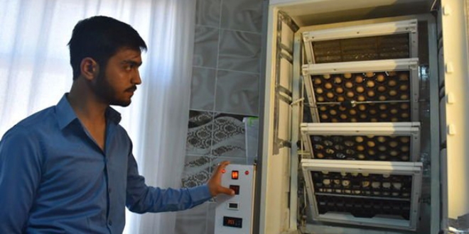 'Buzdolab�ndan' civciv ��kart�yor