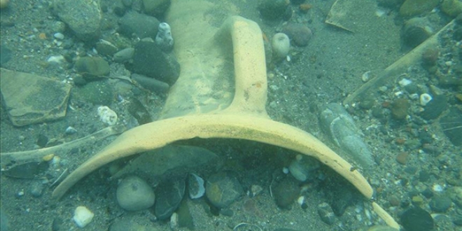 Karadeniz'deki bat�k gemiler inceleniyor