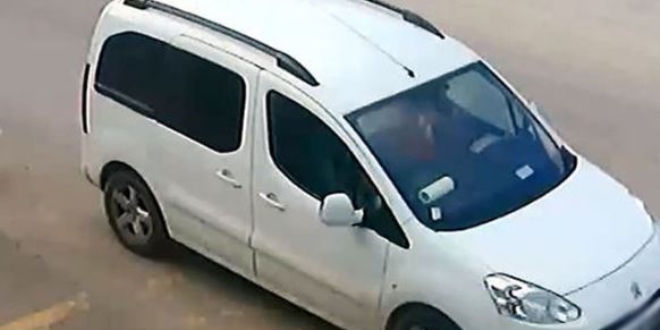 Sokak köpeğini ezen E.K. 300 TL'ye serbest
