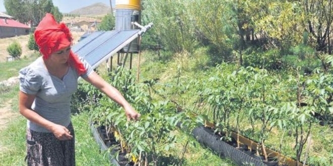 Bakanlık desteğiyle köyde yeni hayat