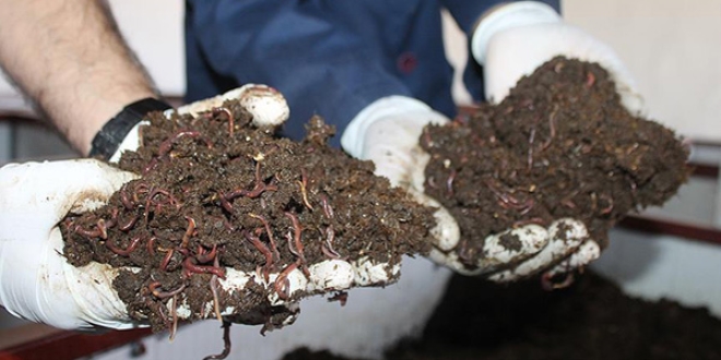 'Pis i�lerle u�ra�ma' diyenlere inat ba�ar�y� yakalad�