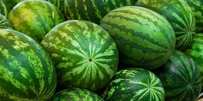 Her y�l yar�m milyon ton karpuz ��pe gidiyor