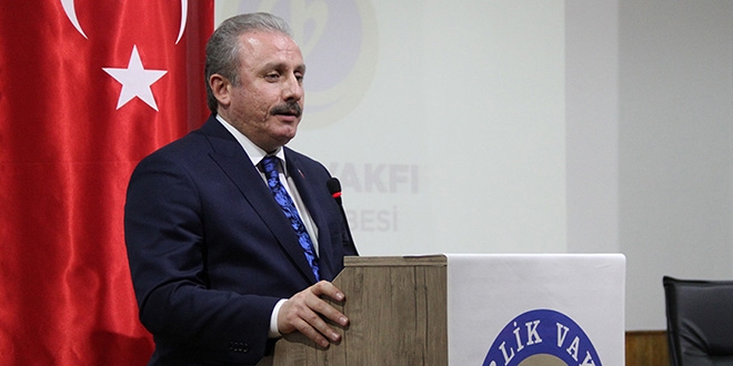 Dan��tay, YSK'n�n karar�n� denetleyemez