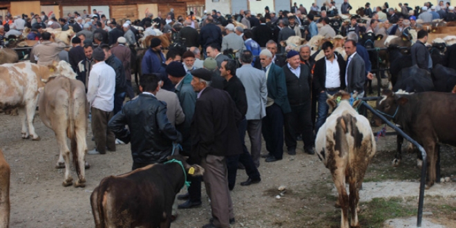 Hayvan pazarlarında 'kurban' hareketliliği