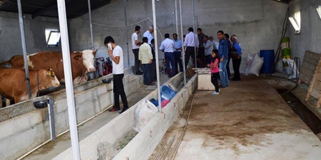 Biyogazla dört evi mutfak tüpü giderinden kurtardı