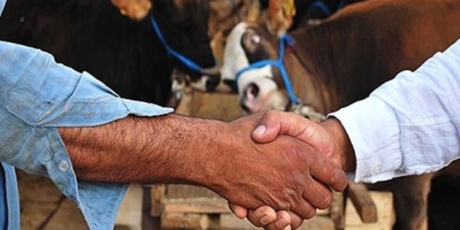Kurban pazarlığında kavga: 1 yaralı