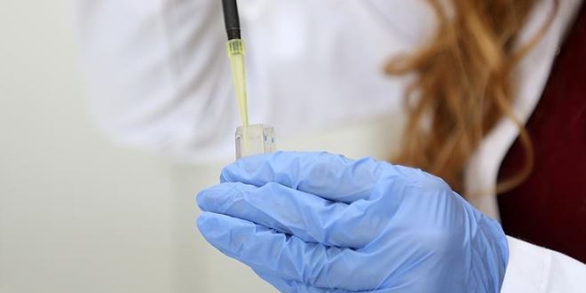 Kolestrol ilaçları tifoya çare olabilir