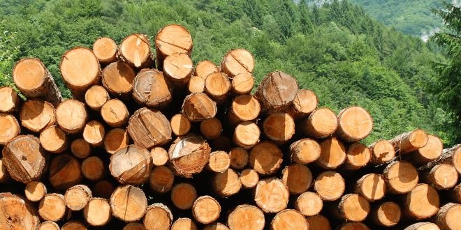 Oduna dayalı orman ürünleriyle ilgili haksız rekabet kaldırıldı