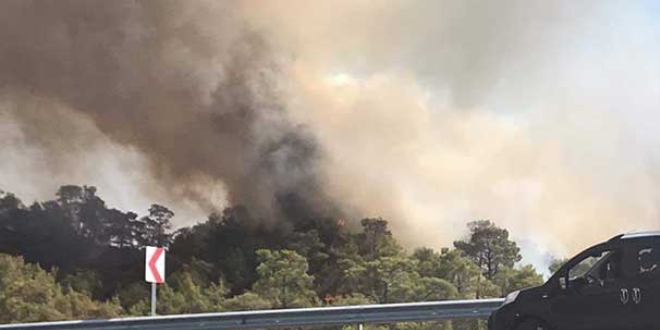 Fethiye'de orman yangını çıktı!