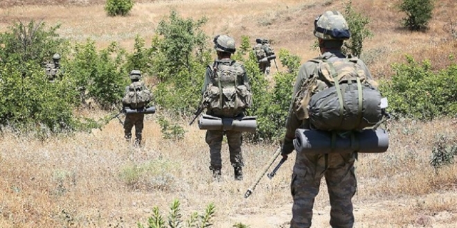 Erzincan'da bir terörist etkisiz hale getirildi