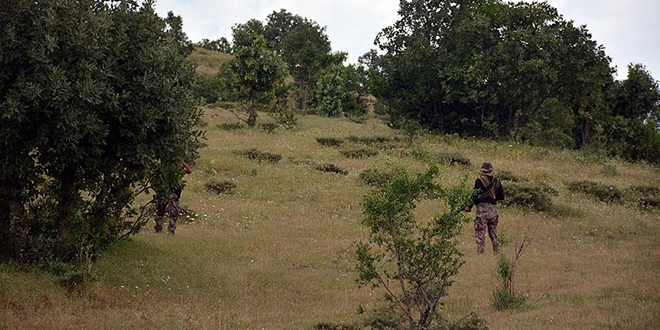Bitlis'te 2 terörist etkisiz hale getirildi