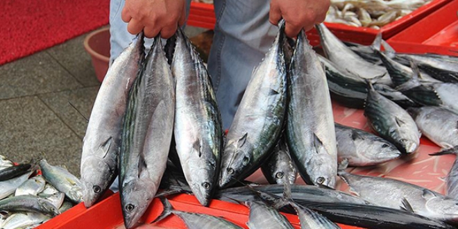 Karadenizli bal�k��lar yeni sezondan umutlu