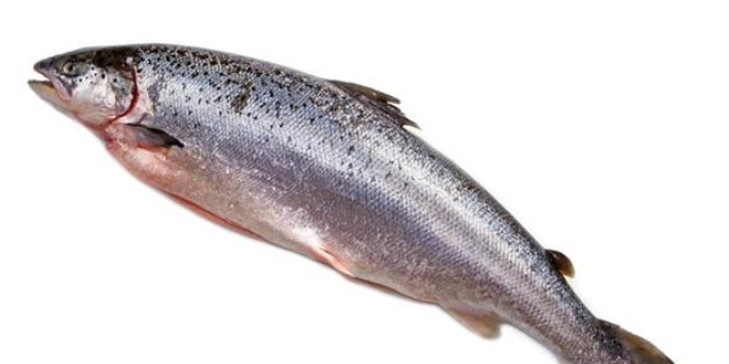 Her balıkta omega 3 var