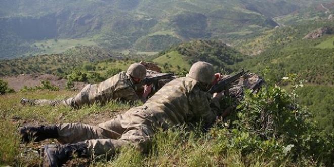 Şırnak'ta 2 terörist etksiz hale getirildi