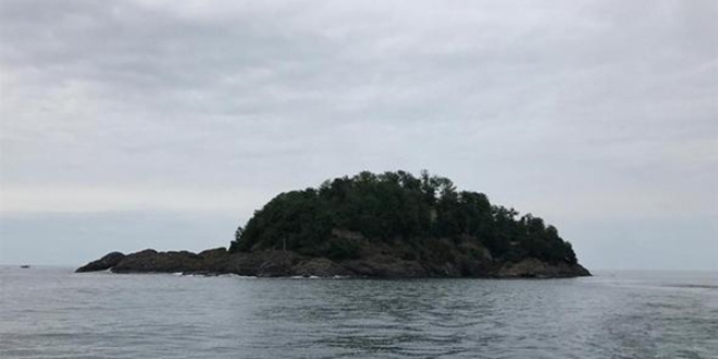Giresun Adası'nın gizemi çözülecek!