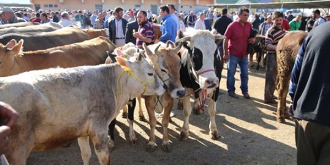 Kurban pazarlar�nda yo�unluk s�r�yor