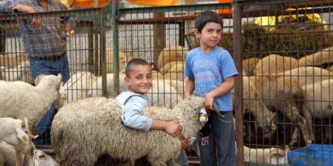 �stanbul'da kurban pazarlar�nda arife yo�unlu�u