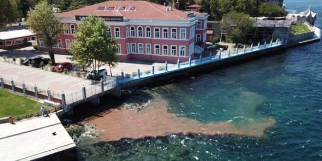 İstanbul Boğazı'na yine kurban kanı aktı