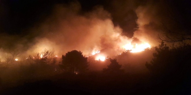 Mu�la'da ��kan orman yang�n�nda 8 hektar alan zarar g�rd�