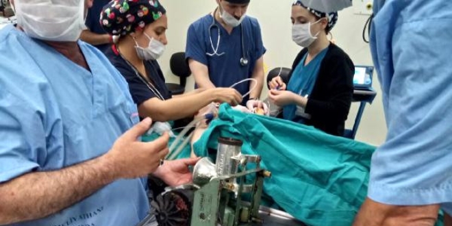 2 ya��ndaki �ocuk elini k�yma makinesine kapt�rd�