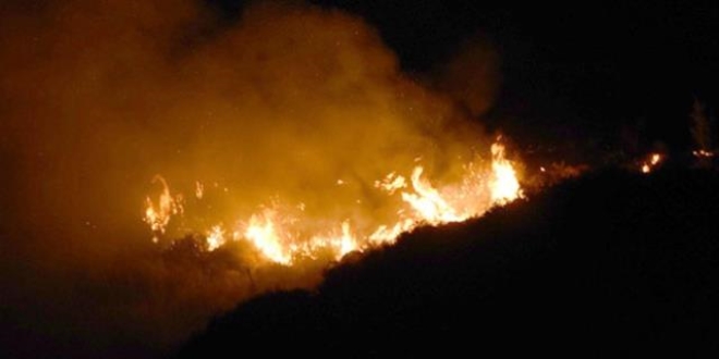 �zmir'de makilik alanda yang�n meydana geldi