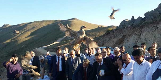 Bakan Ero�lu do�aya 200 keklik sald�