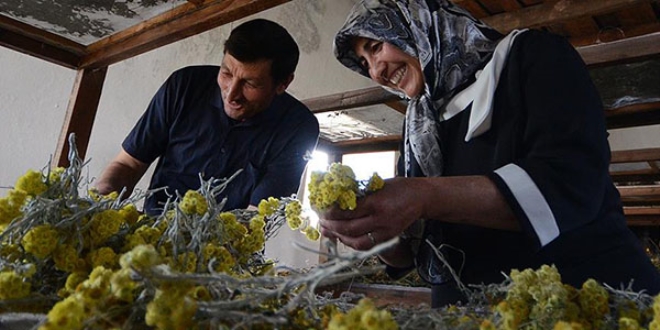 Bitki çeşitliliği köyde atölye kurdurttu