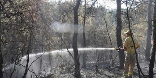 Adana'da balayan orman yangn kontrol altna alnd