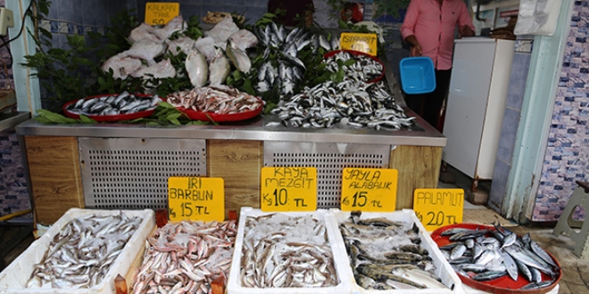 Balıkçı tezgahları dolmaya başladı