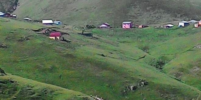 'Erzurum'da a�a� olmayan alan b�rakmayaca��z'