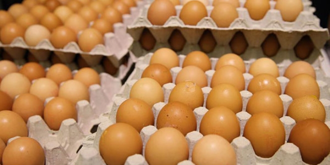 'Zehirli yumurta krizi siyasi kaynakl'