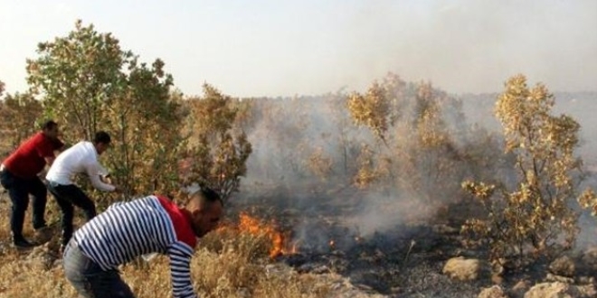 Manisa'nın Turgutlu ilçesinde çıkan yangın söndürülmeye çalışılıyor