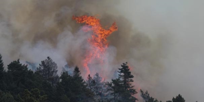 K�tahya'daki orman yang�n� tekrar ba�lad�