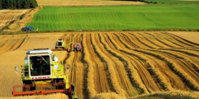 'Milli tar�mda gerekli gayret g�sterilecek'