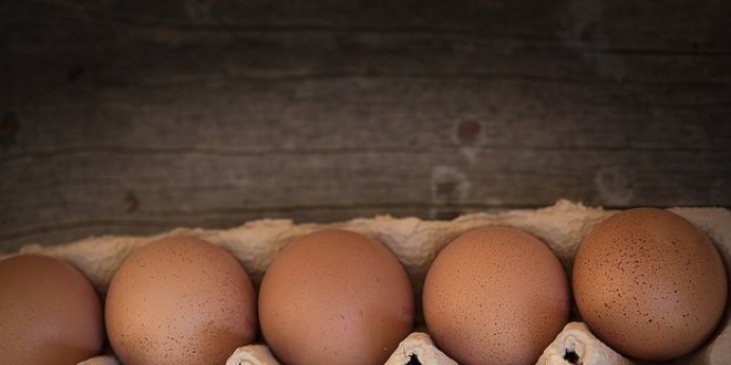 Yumurta üreticileri: Yumurtada her türlü denetime açığız