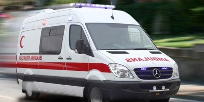 Yılana ateş etmek isteyen çocuk 3 kişiyi vurdu
